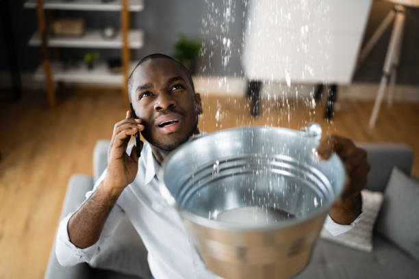 Best 24-hour water damage restoration  in Fishers, IN