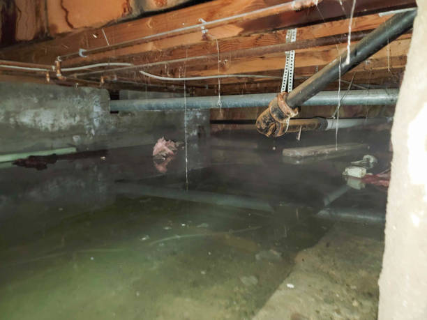 , IN Water damage restoration Company