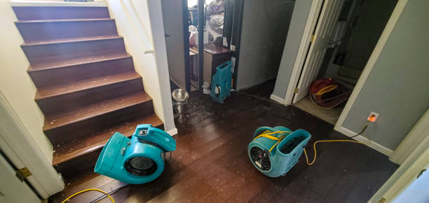 Best 24/7 water damage repair  in Fishers, IN