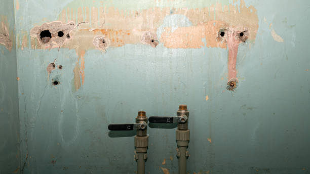  Fishers, IN Water damage restoration Pros