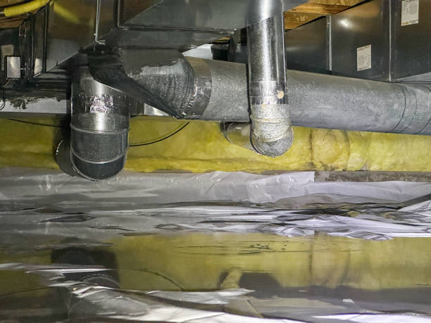 Best Residential water damage restoration  in Fishers, IN