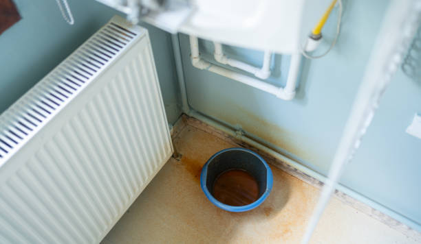 Best Mold removal after water damage  in Fishers, IN