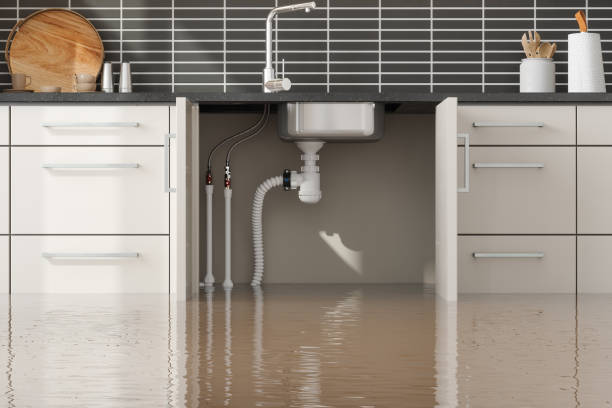 Best Flooded house restoration  in Fishers, IN