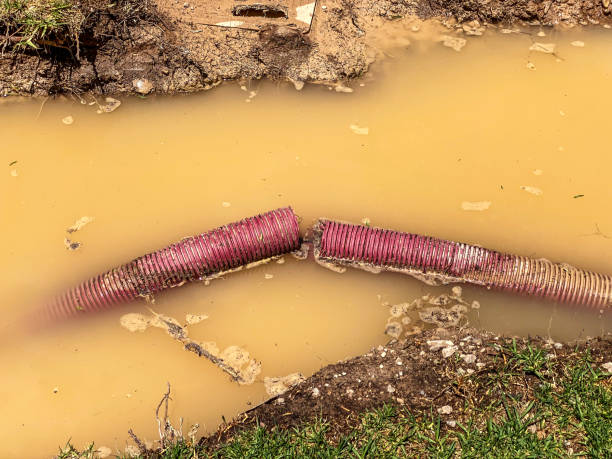 Best Sewage cleanup and water damage restoration  in Fishers, IN